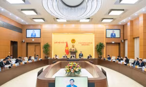 Phân định thẩm quyền lập pháp của Quốc hội với lập quy của Chính phủ 