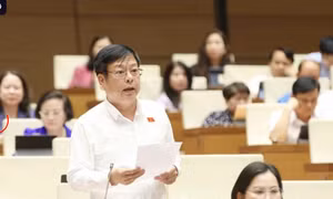 Đại biểu chất vấn ngân sách chi cho đại học giảm trong 10 năm qua