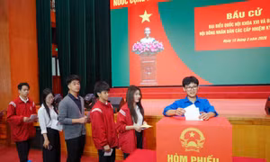 Cử tri là sinh viên đặt niềm tin nơi lá phiếu bầu cử 
