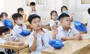 Cách rà soát dữ liệu tuyển sinh đầu cấp theo bản đồ số 