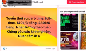Cảnh giác 'việc nhẹ lương cao’ cho sinh viên dịp cận Tết