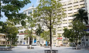 Trường đại học đầu tiên sử dụng chứng chỉ tiếng Anh trong nước để tuyển sinh
