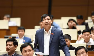 Điểm nhấn của Luật Nhà giáo là giao quyền tuyển dụng cho ngành giáo dục 