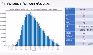 Điểm trung bình môn tiếng Anh thấp không phải vấn đề chất lượng dạy và học 