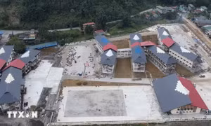 Bình đẳng trong tiếp cận giáo dục