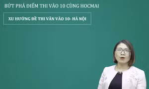 Hai dạng bài nghị luận xã hội thường gặp trong bài thi Văn vào 10 
