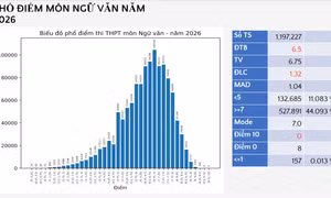 Chấm thi môn Ngữ văn đã ghi nhận sự sáng tạo của thí sinh