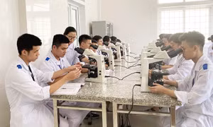 Thêm quyền tự chủ nhưng nhiều trường đại học vẫn 'án binh bất động'