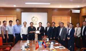 Đổi mới mô hình hoạt động và tái cơ cấu doanh nghiệp nhà nước Việt Nam và Lào