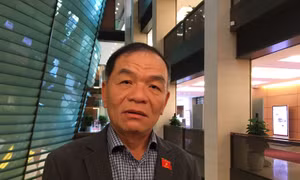 Đại biểu Quốc hội Lê Thanh Vân: Cần ủng hộ và hỗ trợ hoạt động thiện nguyện cá nhân