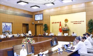 Sửa luật đảm bảo tính khả thi khi sắp xếp bộ máy
