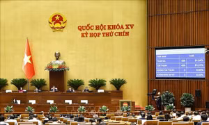 Kỳ họp thứ 9, Quốc hội khóa XV: Miễn, hỗ trợ học phí từ năm học 2025-2026