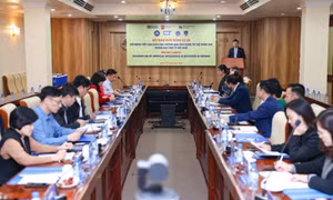 Bốn trường đại học ở Việt Nam khởi động dự án ứng dụng AI mới nhất trong dạy học