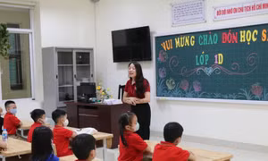 Năm học thực nghiệm đổi mới chương trình và tăng chất lượng giáo dục