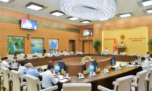 Nghiên cứu kỹ giá điện phù hợp với thực tế