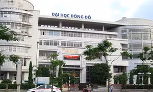 Sẽ thu hồi các bằng tiến sĩ liên quan đến sai phạm của Đại học Đông Đô  