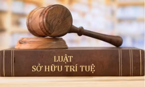 Tiếp tục hoàn thiện khung pháp lý cho hoạt động bảo hộ quyền sở hữu trí tuệ