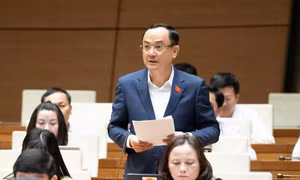Bên lề Quốc hội: Quy hoạch có tầm nhìn lâu dài để ứng phó với tình huống cực đoan