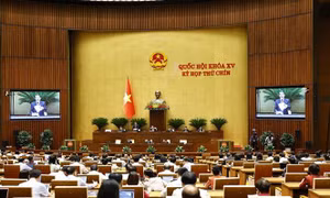 Quyết liệt bảo vệ quyền lợi người dân trước vấn đề thuốc giả, thực phẩm chức năng giả 