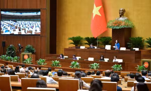 Quốc hội thảo luận dự thảo Luật Tư pháp người chưa thành niên, Luật Di sản văn hóa (sửa đổi)  