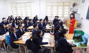 Đòn bẩy để giáo viên sống được bằng nghề