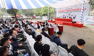 Công nghệ vẫn chiếm ưu thế trong những ngành học mới ra mắt 