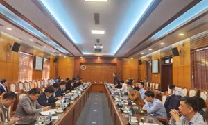 Trường Đại học nỗ lực thu hút chuyên gia giỏi là người nước ngoài đến làm việc