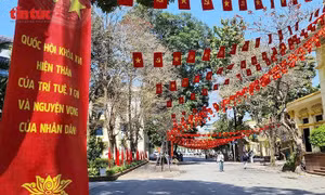 Bảo đảm quyền lợi, nghĩa vụ bầu cử cho sinh viên 