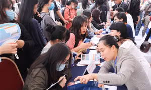 Tuyển sinh ĐH 2022: Không có sự bất bình đẳng khi xét tuyển bằng IELTS, TOEFL