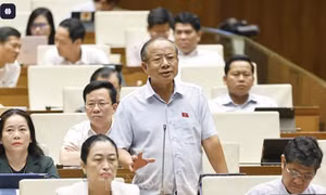 Đại biểu tiếp tục chất vấn dạy thêm, học thêm và giải pháp căn cơ
