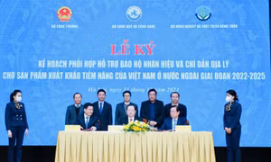 Vải, nhãn, xoài là sản phẩm xuất khẩu tiềm năng của Việt Nam giai đoạn 2022-2025 
