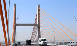 Bộ trưởng GTVT yêu cầu kiểm tra tình trạng lún võng cầu Bạch Đằng