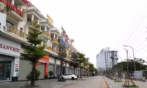 Thị trường bất động sản đón dư địa tăng trưởng lớn