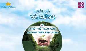 Chiến dịch chung tay phục hồi 50 ha rừng trong vòng hơn 6 tháng của Vietnam Airlines.
