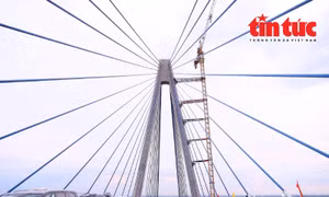 Tăng tốc về đích 3 cao tốc thành phần còn lại thuộc cao tốc Bắc Nam giai đoạn I