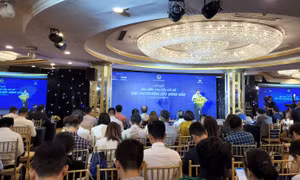 Ông Nguyễn Mạnh Hà phát biểu tại hội nghị.