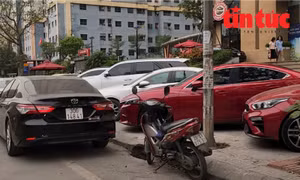 Toàn bộ diện tích vỉa hè đường Nguyễn Xiển hàng ngày bị chủ các ô tô chiếm dụng làm nơi đỗ xe sai quy định.