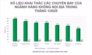 Bamboo Airways là hãng bay đúng giờ nhất cao điểm Tết Ất Tỵ 