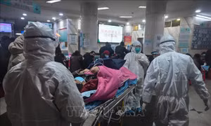 Ngành giao thông dồn lực chống bệnh do virus Corona