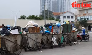 Người dân phường Mộ Lao (quận Hà Đông) không còn lạ với khu vực tập kết những xe thu gom rác thải chất cao gấp 2 lần thành xe trên đường Vũ Trọng Khánh.
