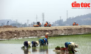 Trên công trường thi công cao tốc Bắc Nam đoạn Nghi Sơn - Diễn Châu.