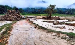 Ứng phó nguy cơ sạt lở đất và chủ động phòng chống thiên tai 