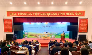 Phát triển bất động sản, hạ tầng du lịch Yên Bái – Cơ hội và bứt phá.