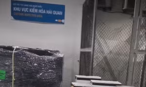 Hơn 1.300 phương tiện chở nông sản tươi sống bị ách tắc do vướng Nghị định 46/CP