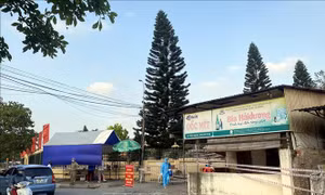 Nhanh chóng khoanh vùng, chặn nguồn lây tại ổ dịch Gốc Mít, thành phố Hải Dương