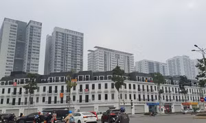 Thị trường chung cư sơ cấp duy trì đà sôi động đón sóng đầu năm mới