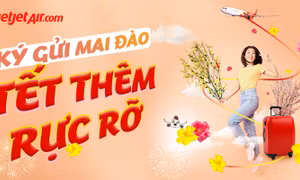 Vietjet vận chuyển mai, đào – Mang Xuân đến mọi nhà.