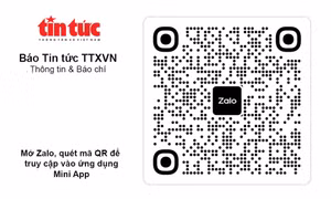 Báo Tin tức ra mắt Mini App trên nền tảng Zalo, giúp độc giả đọc thông tin nhanh, thuận tiện 