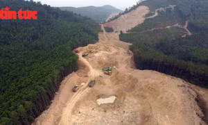 Chuyển đổi hơn 1.000 ha đất rừng làm cao tốc đảm bảo không tác động đến môi trường.