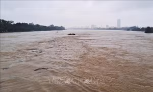Vẫn còn nhiều tuyến quốc lộ bị ngập sâu tại miền Trung, Tây Nguyên